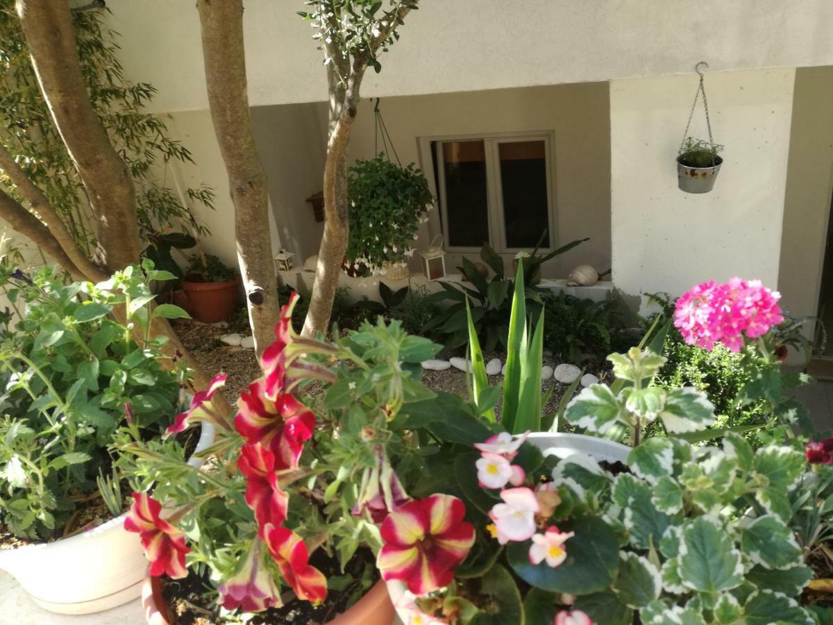 חוואר B&B Buzolic מראה חיצוני תמונה